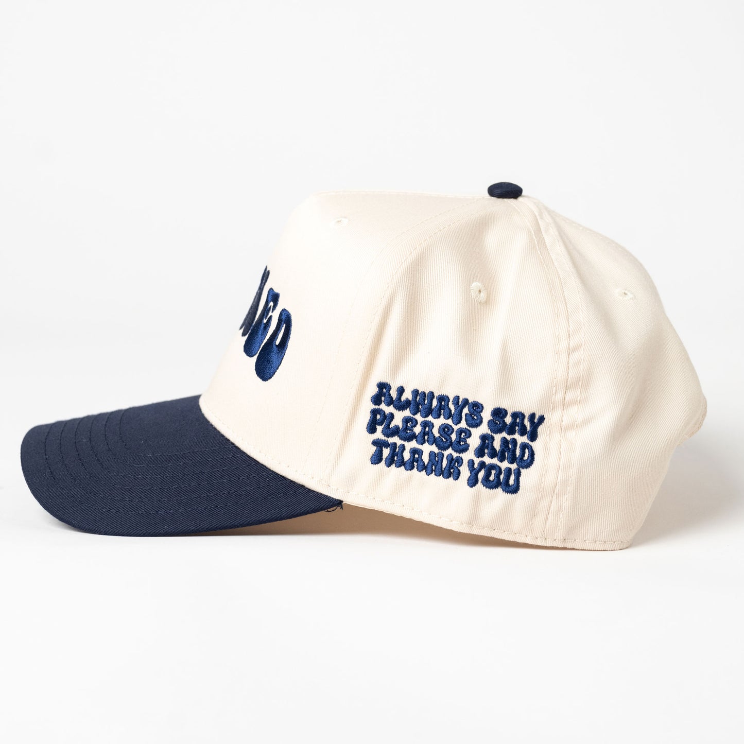 Stained Navy Blue and Cream Baseball Hat